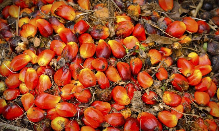 EPOA Dissolves After Years Promoting Sustainable Palm Oil
