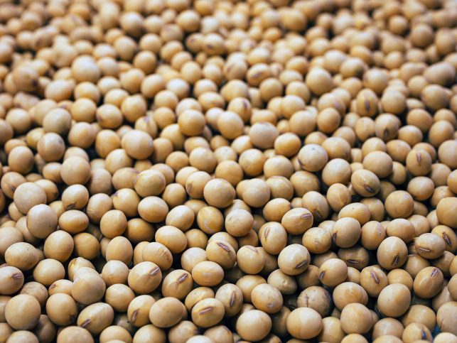 Record-Breaking Brazilian Soybean Exports Soar to New Heights